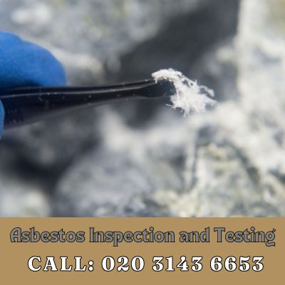 Comprehensive Asbestos Inspection and Testing Services in Waltham Cross